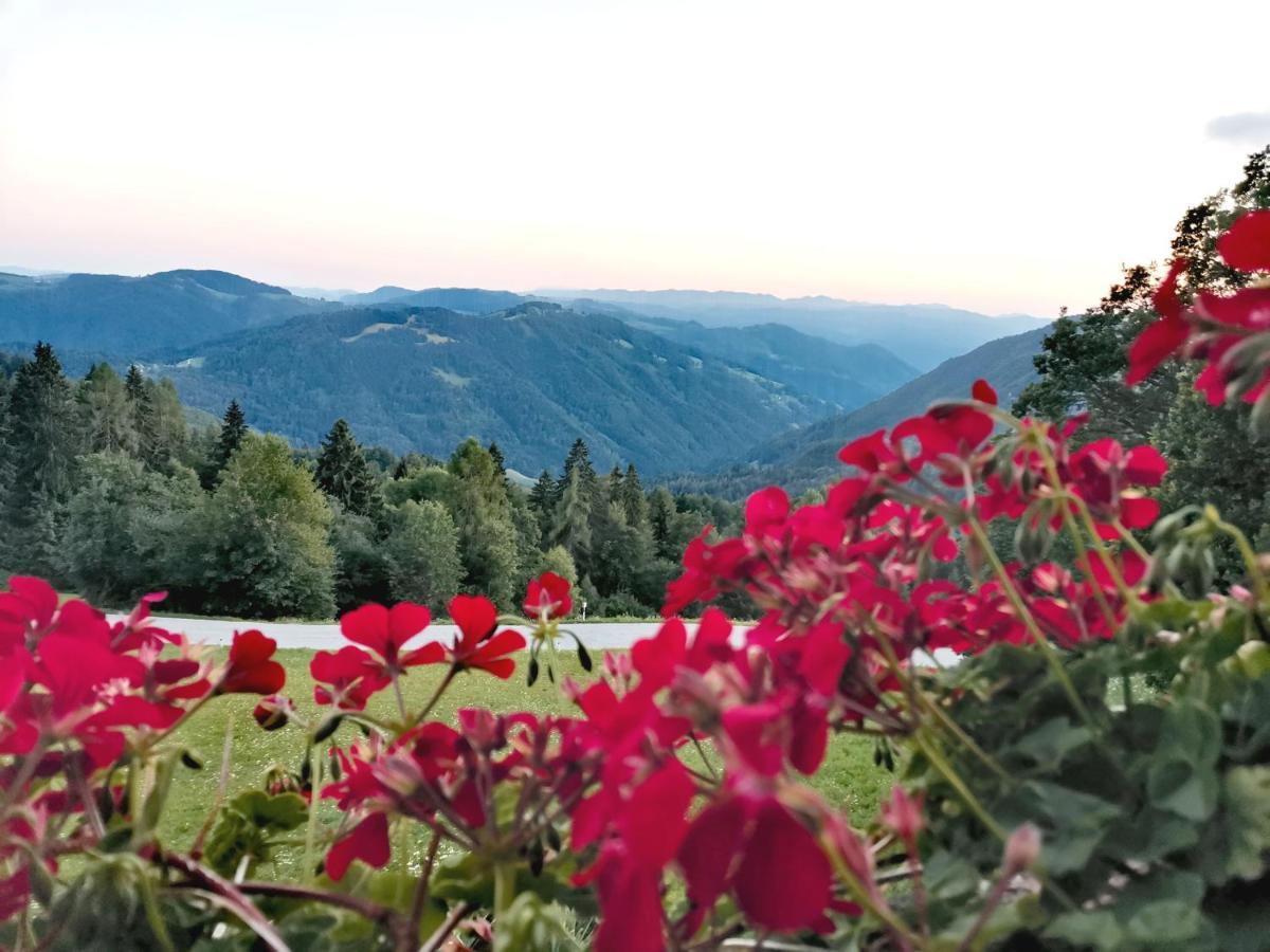 Domacija Za Robom Appartement Cerkno Buitenkant foto