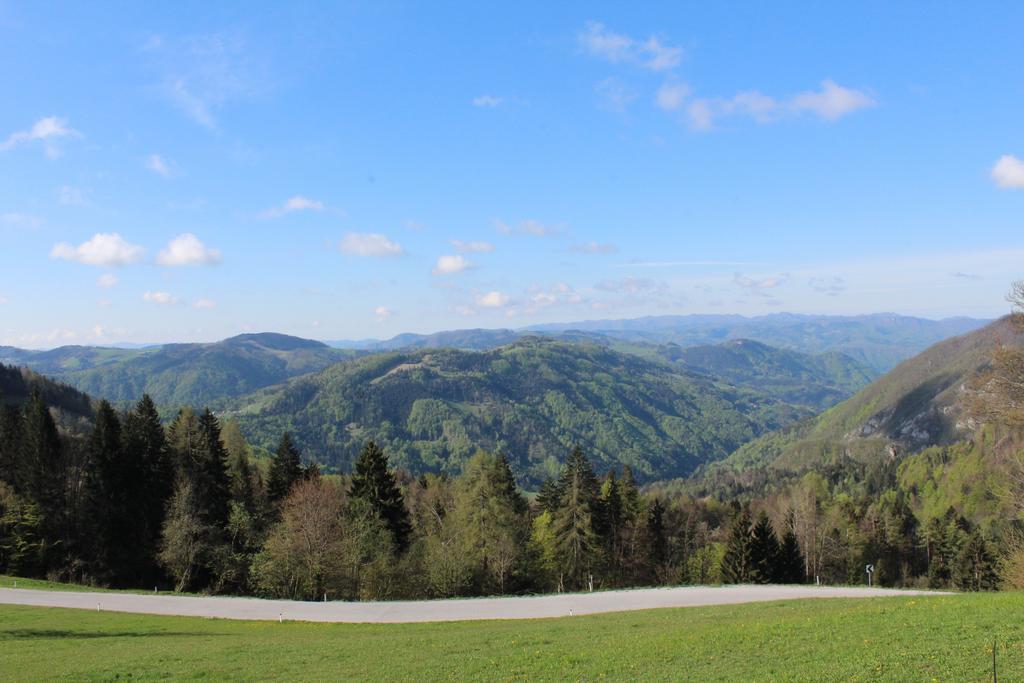 Domacija Za Robom Appartement Cerkno Buitenkant foto