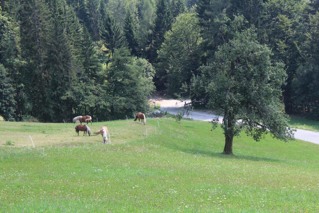 Domacija Za Robom Appartement Cerkno Buitenkant foto