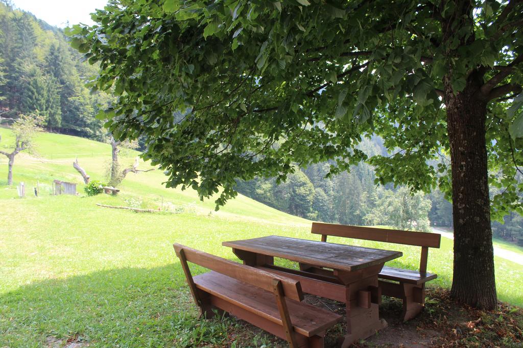 Domacija Za Robom Appartement Cerkno Buitenkant foto
