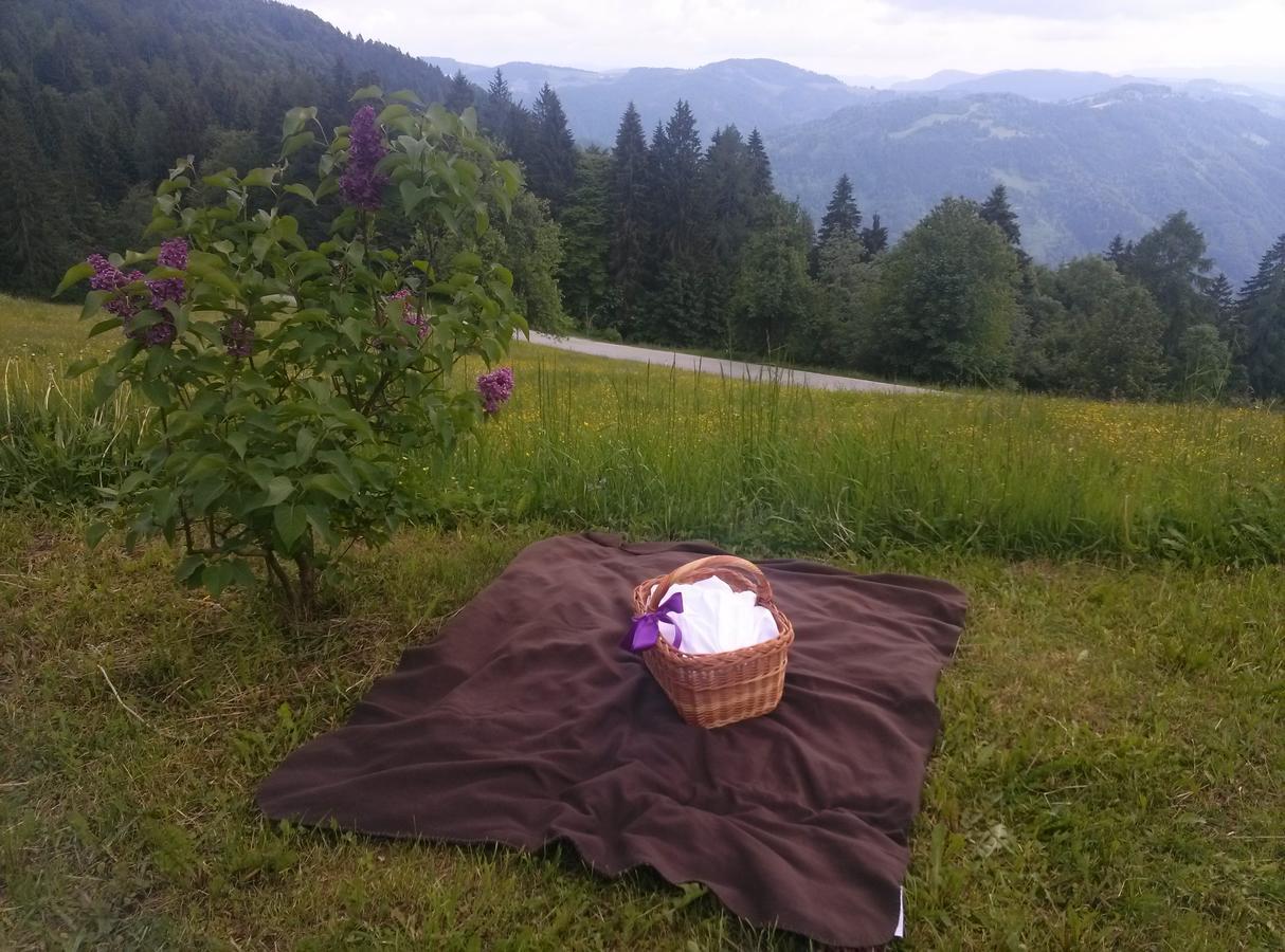 Domacija Za Robom Appartement Cerkno Buitenkant foto