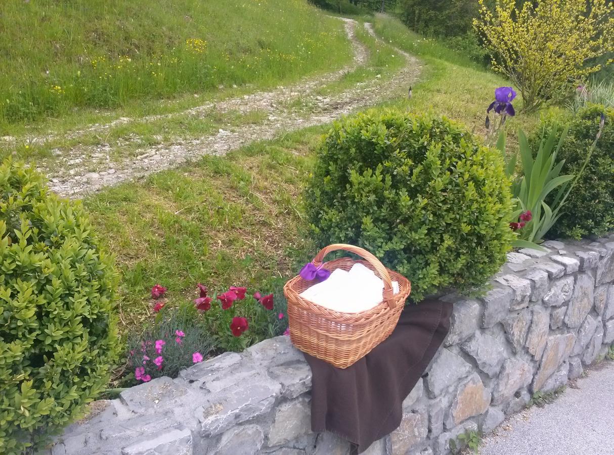 Domacija Za Robom Appartement Cerkno Buitenkant foto