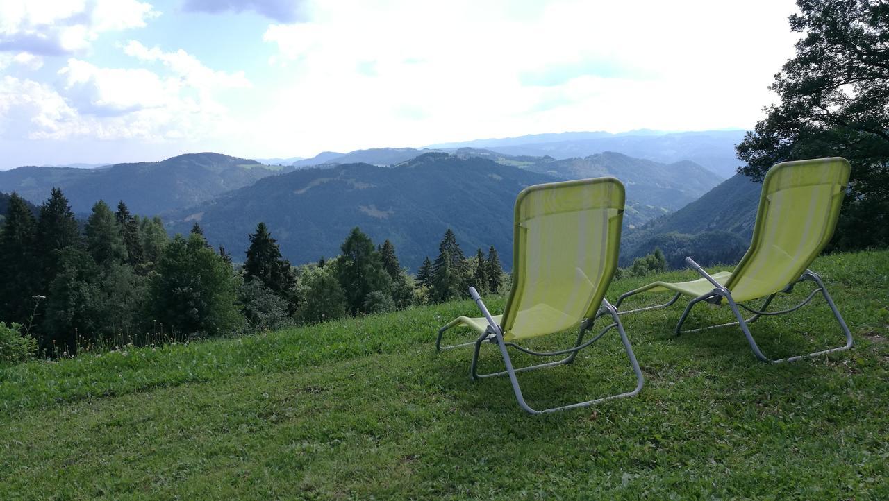 Domacija Za Robom Appartement Cerkno Buitenkant foto
