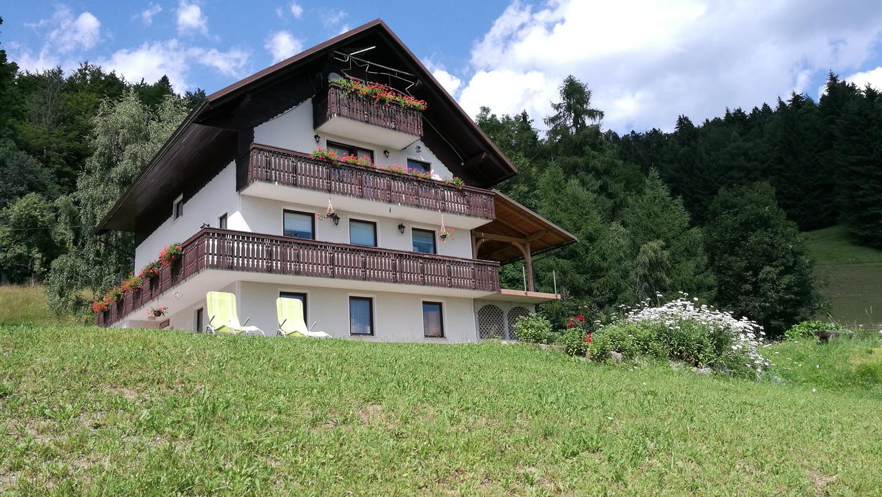 Domacija Za Robom Appartement Cerkno Buitenkant foto