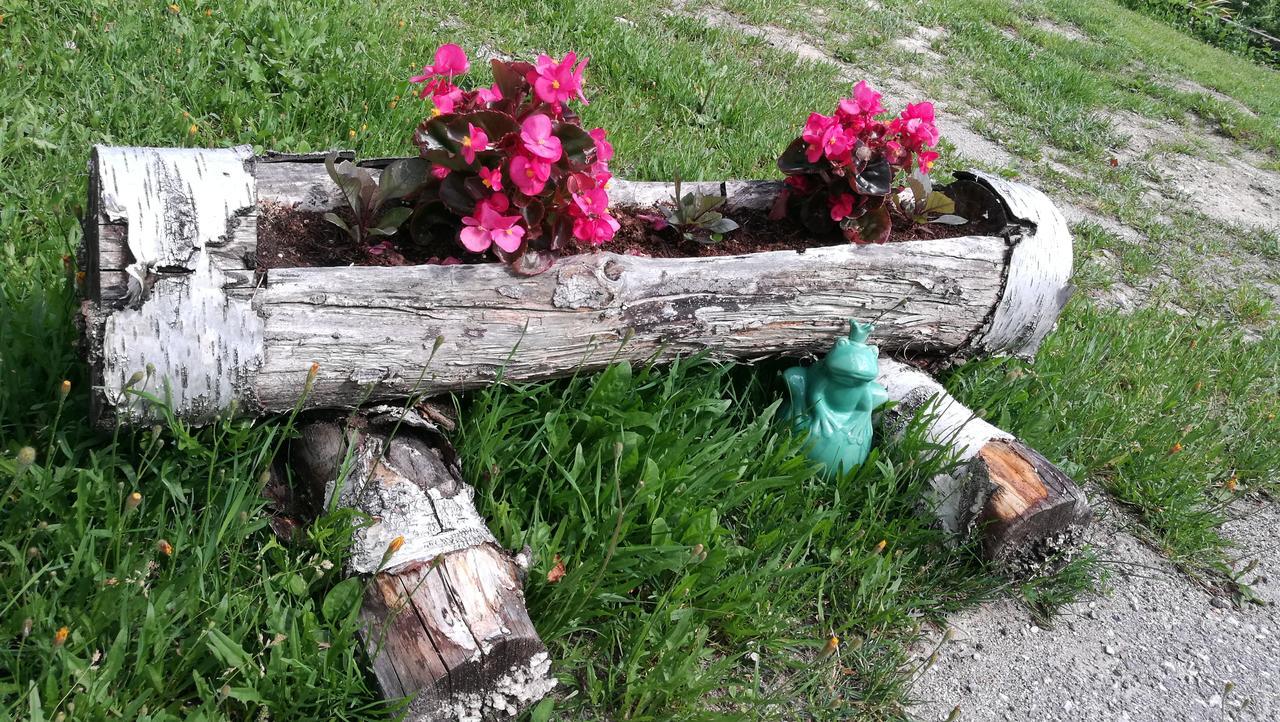 Domacija Za Robom Appartement Cerkno Buitenkant foto